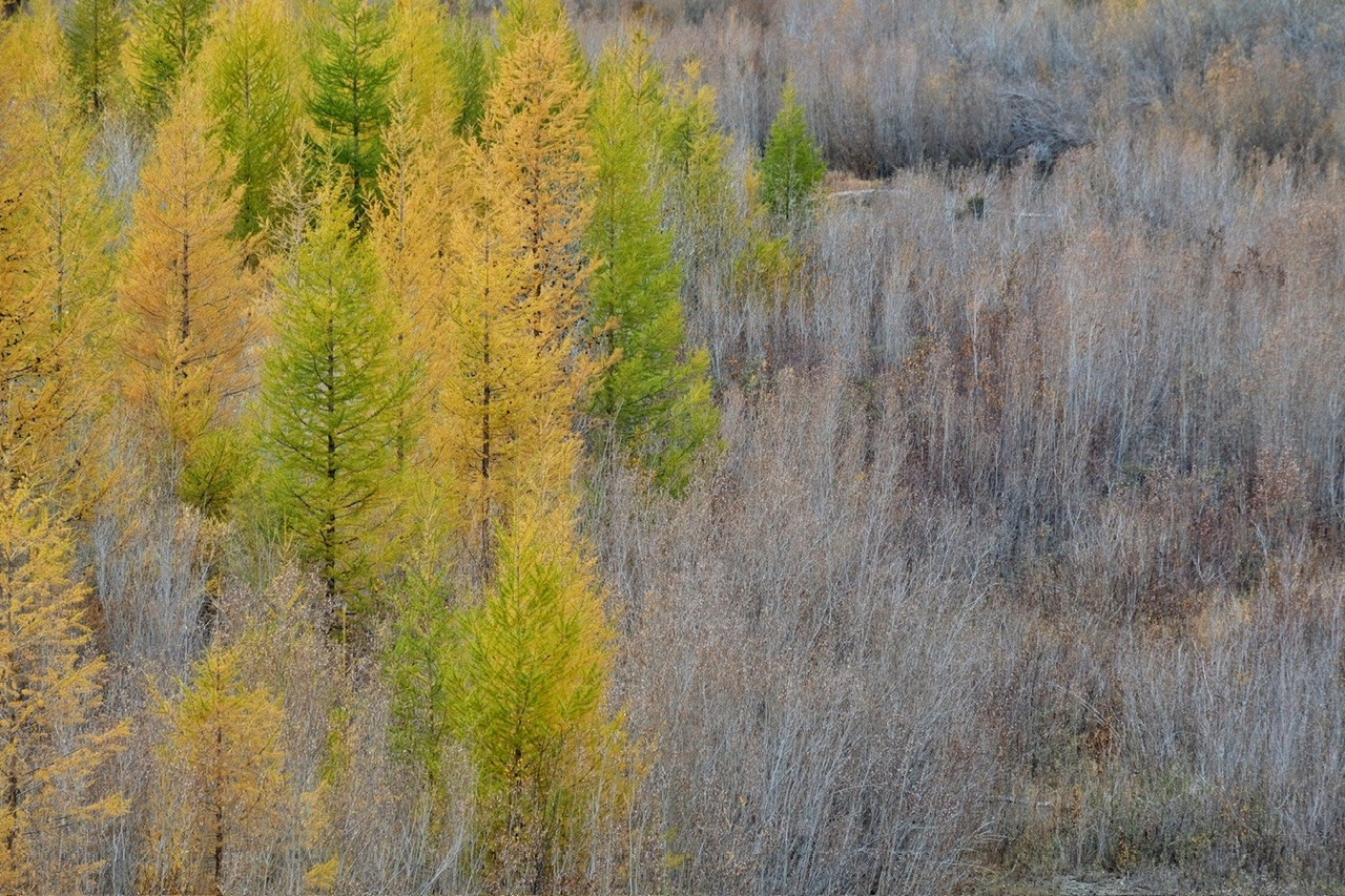 Алтай. Фотограф Евгений Андреев