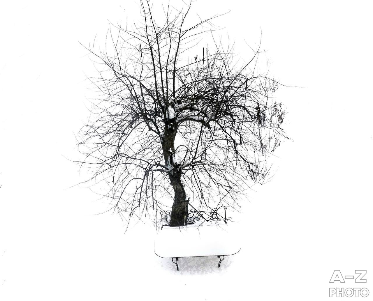 #ФОТОНЕДЕЛИ 12.01.2026. Женский семейный фотограф Тула Москва Захарова Анна