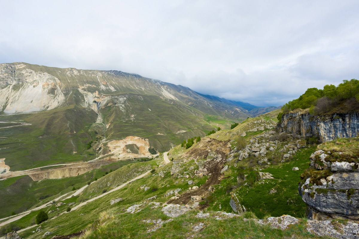 Каменная чаша. Photomantis