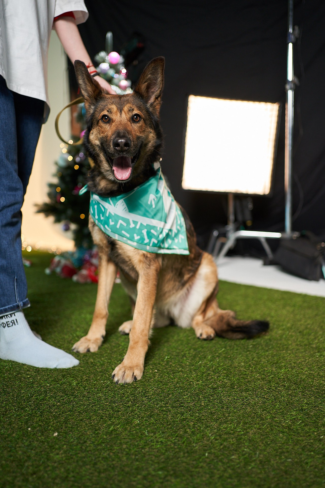 Проект «Андердоги» для коллаборации Фонда «Рэй», Sports.ru, Пари. Фотограф анималист Москва Дарья