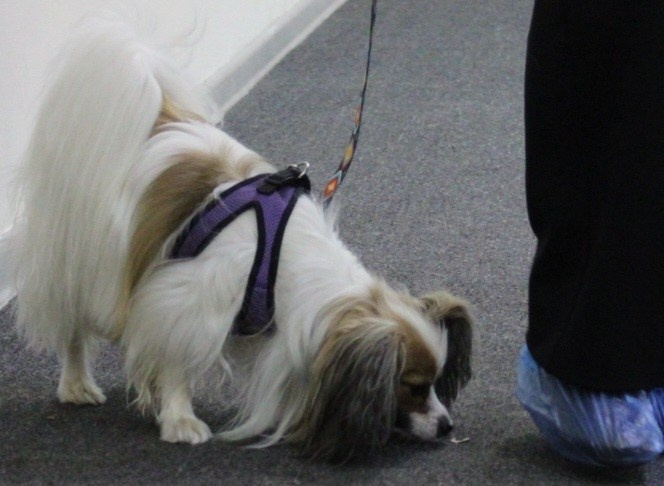 Репортаж УС «ДЦ Ральф». Катя Попова|ЛайфСтайл фотограф