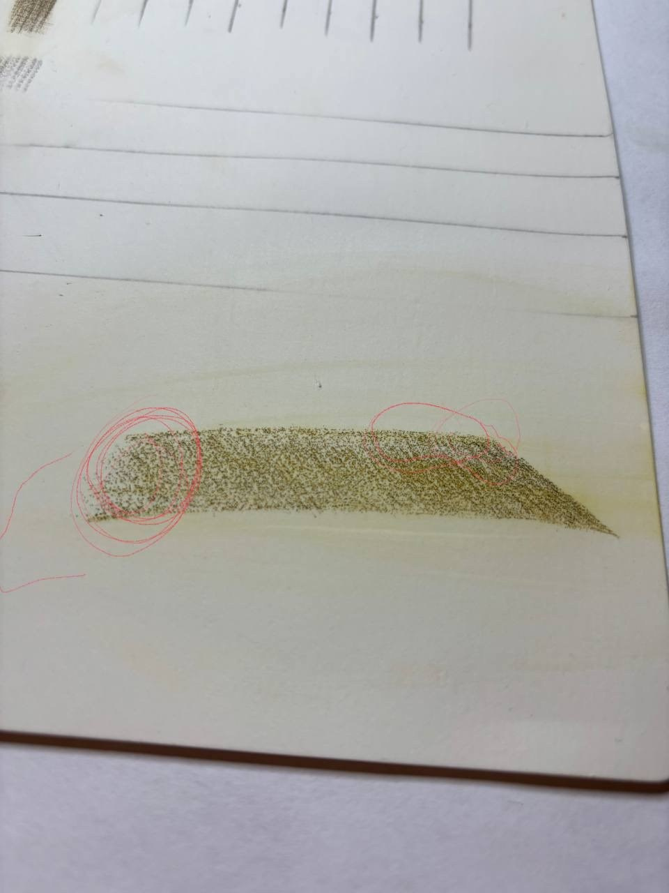 Обучение. Перманент PigmentLab Olga