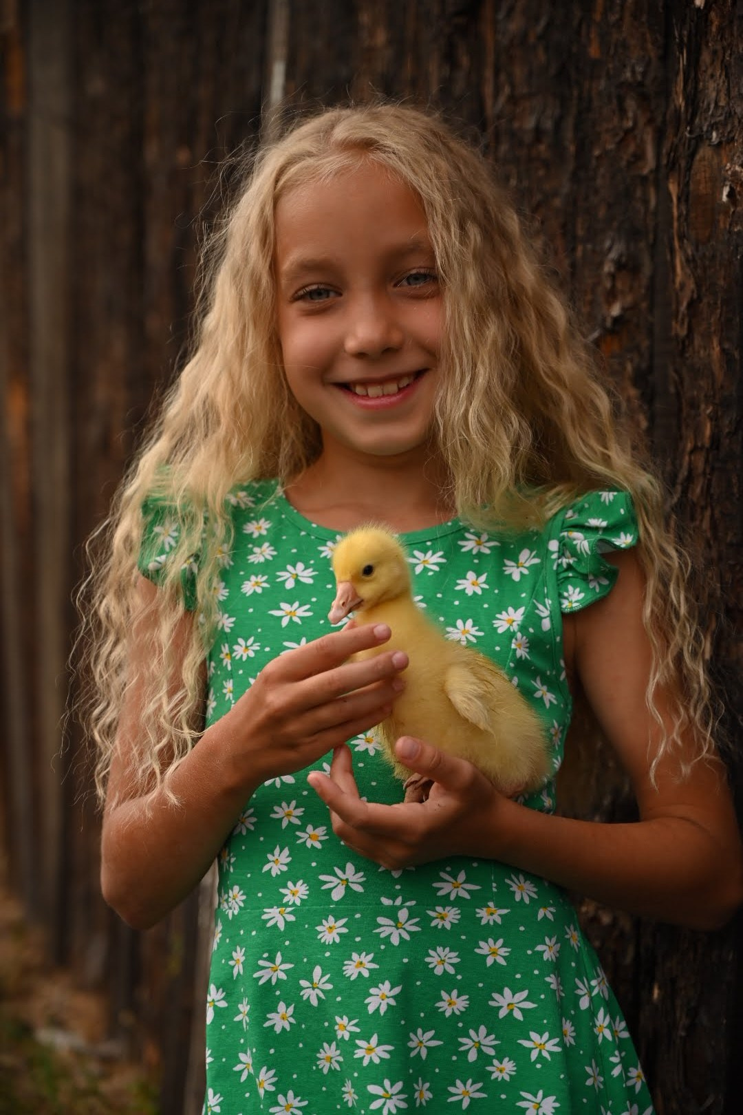 Дети и гусята. Семейный и детский фотограф в Хакасии