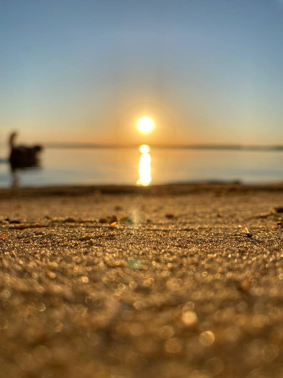 Добро пожаловать в Кемпинг — уникальное место для отдыха на лоне природы!