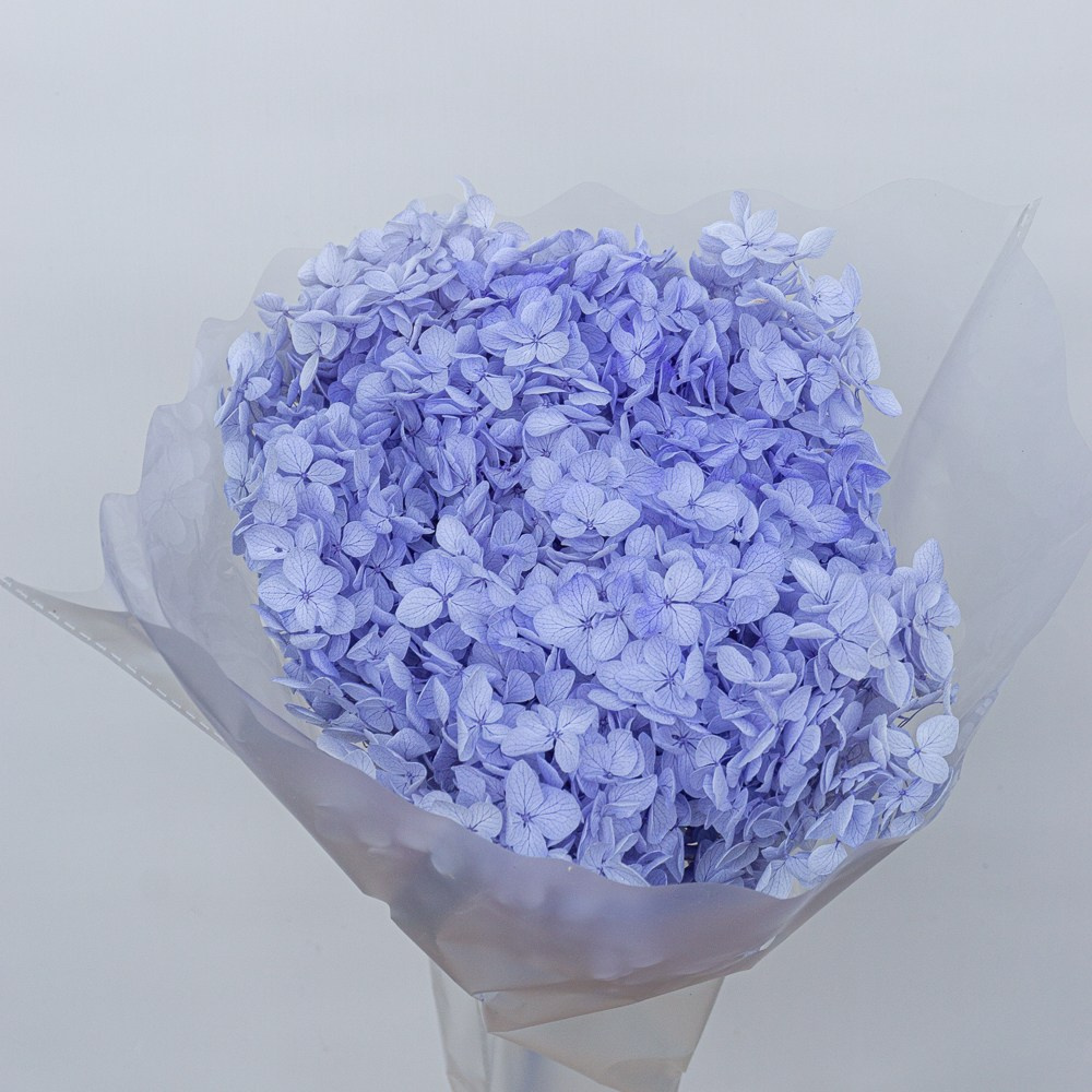 Сухоцветы. Фотограф в Екатеринбурге Яна Круташова