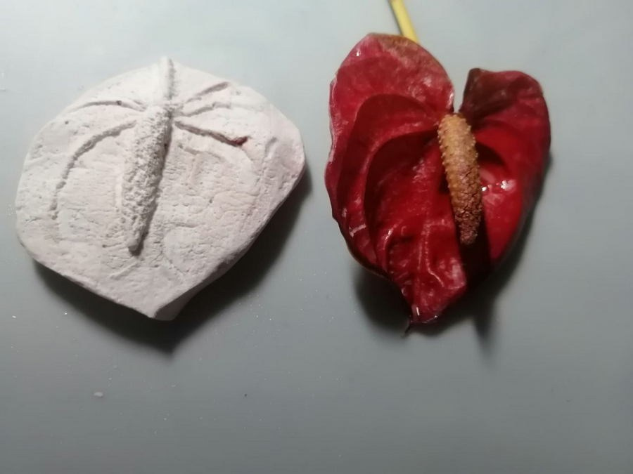 Василенко Ольга Сергеевна. Галерея участников Российской Премии Искусств