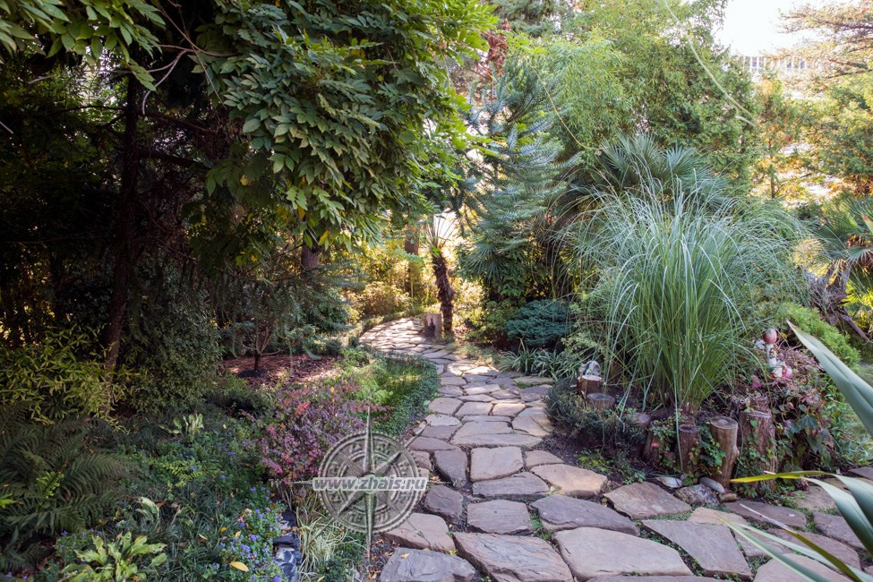 КРАСИВЫЕ МЕСТА В СОЧИ. Свадебный и семейный фотограф/видеограф в Краснодаре Наталья Осинская