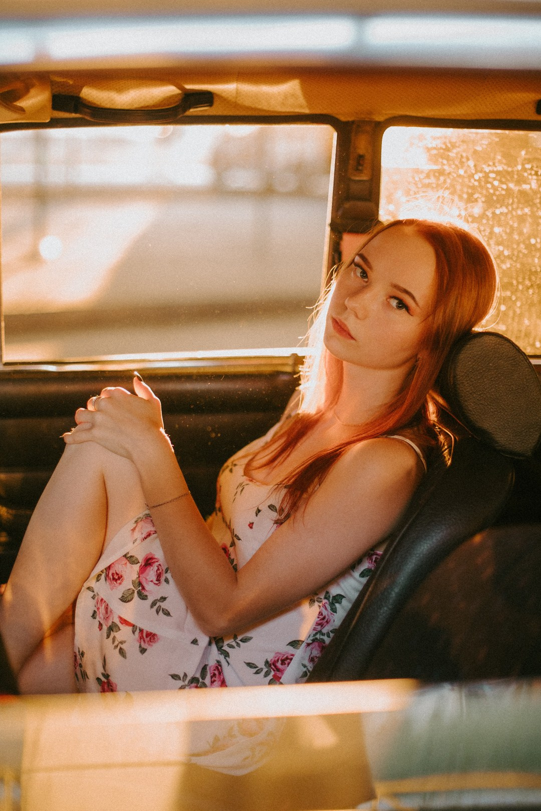 Розовый закат. Павел Померанцев