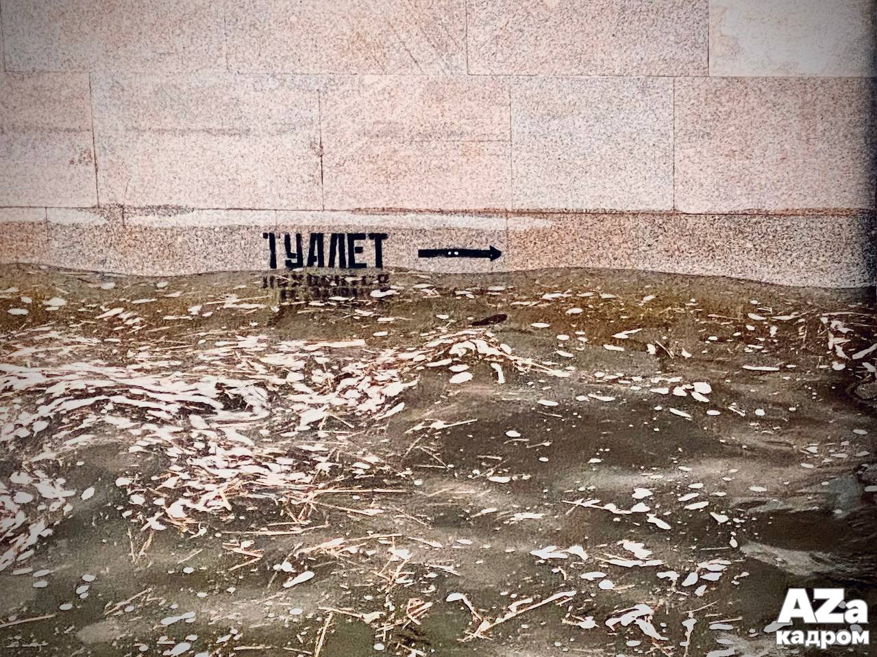 AZакадром «Фотофанты». Женский семейный фотограф Тула Москва Захарова Анна