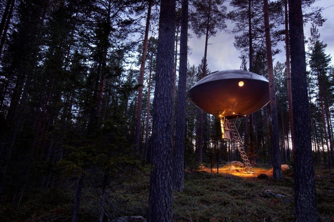 Treehotel, Швеция от 60 т.р. Фотограф для маркетплейсов Михаил Бове