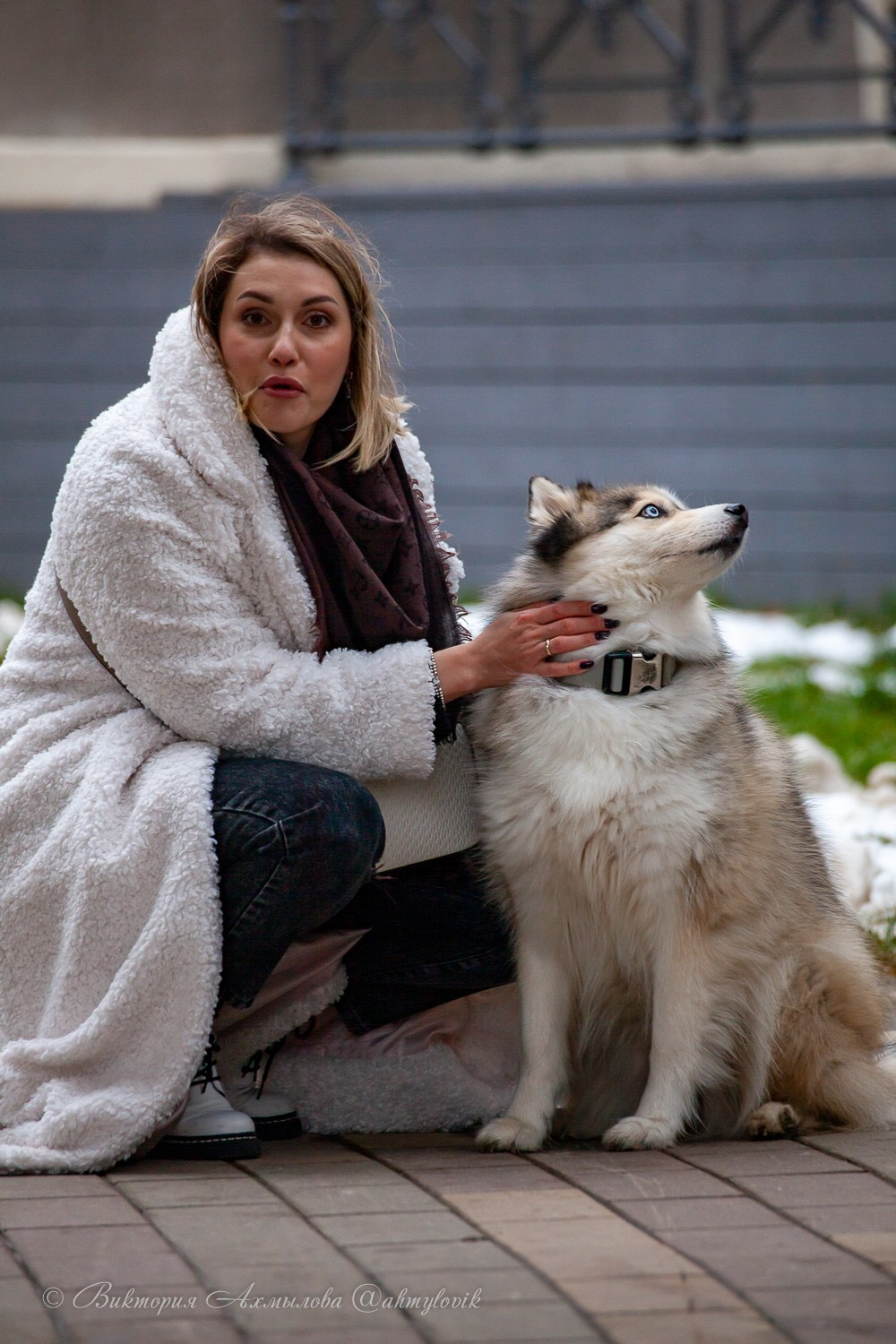Прогулка с Хаски (Настя). Виктория Ахмылова. Фотограф в Москве