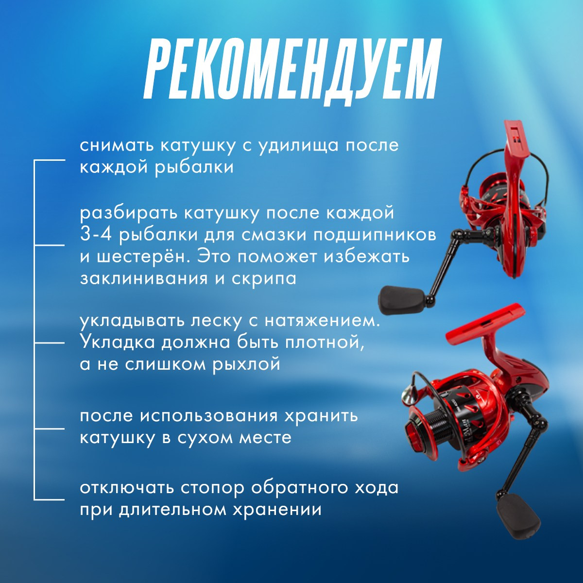 Графический дизайнер для маркетплейсов