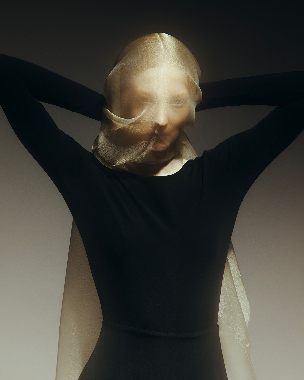 Marina. Axis model management