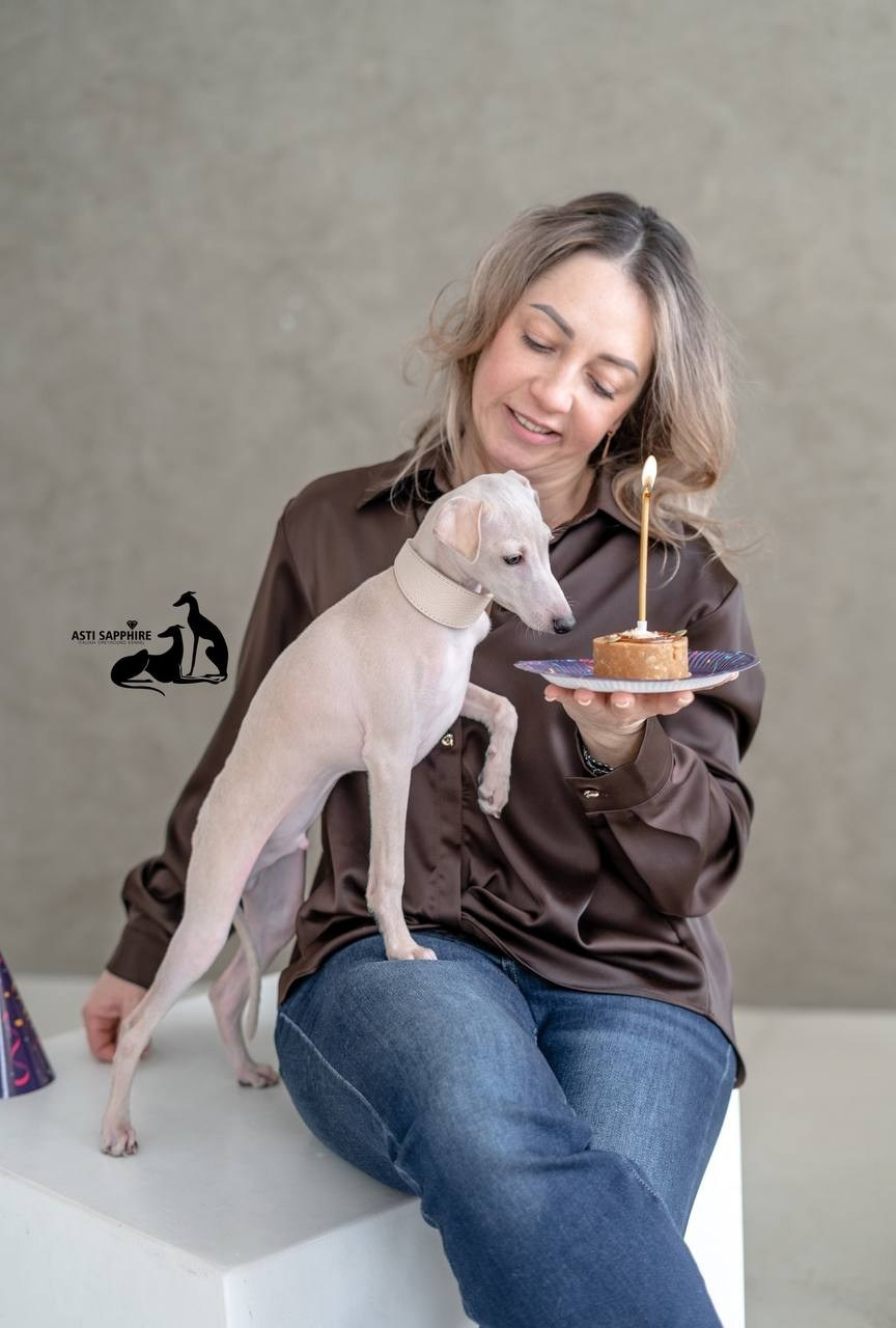 Casper boss & Clyde & Klaus. Профессиональный питомник левреток РКФ/FCI ASTI SAPPHIRE 💎 Сочи|Санкт-Петербург