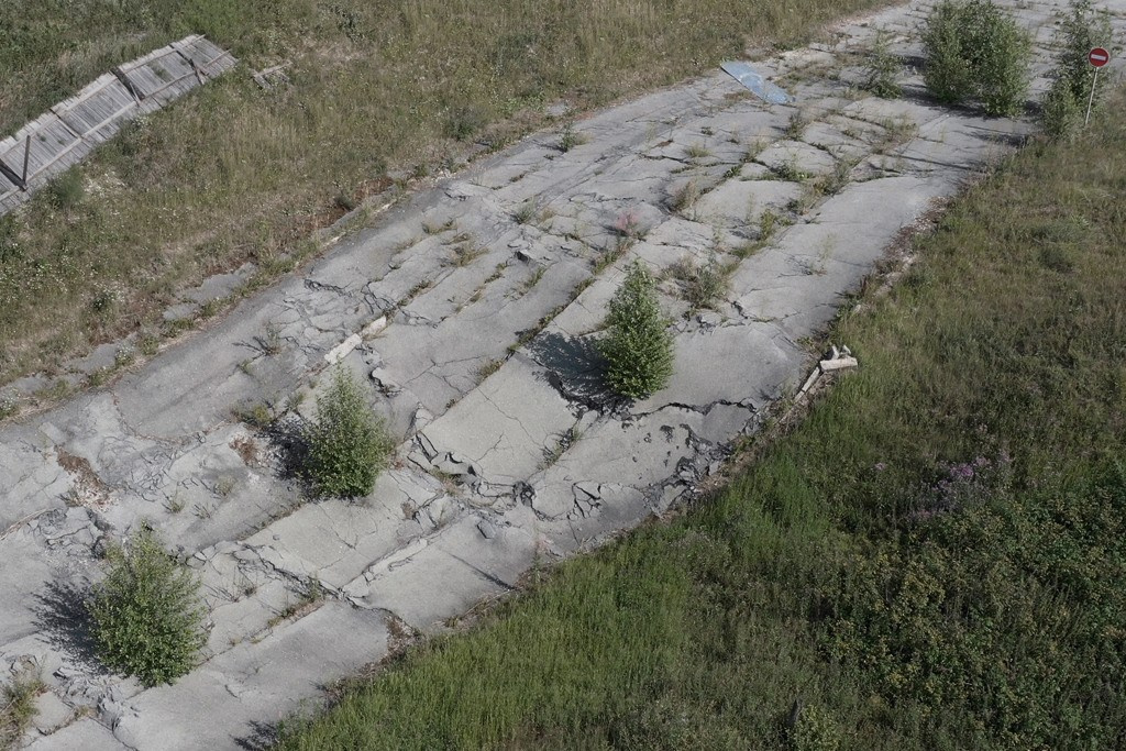 The city of white birches. Vita Stroganova