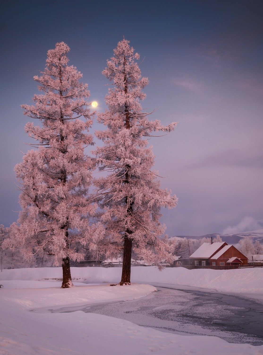 Полнолуние ноября. Кош-Агачский район, ноябрь 2024