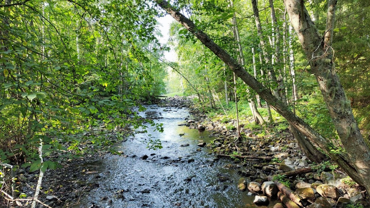 Карелия | 16-18.08.24. Галерея Фантим