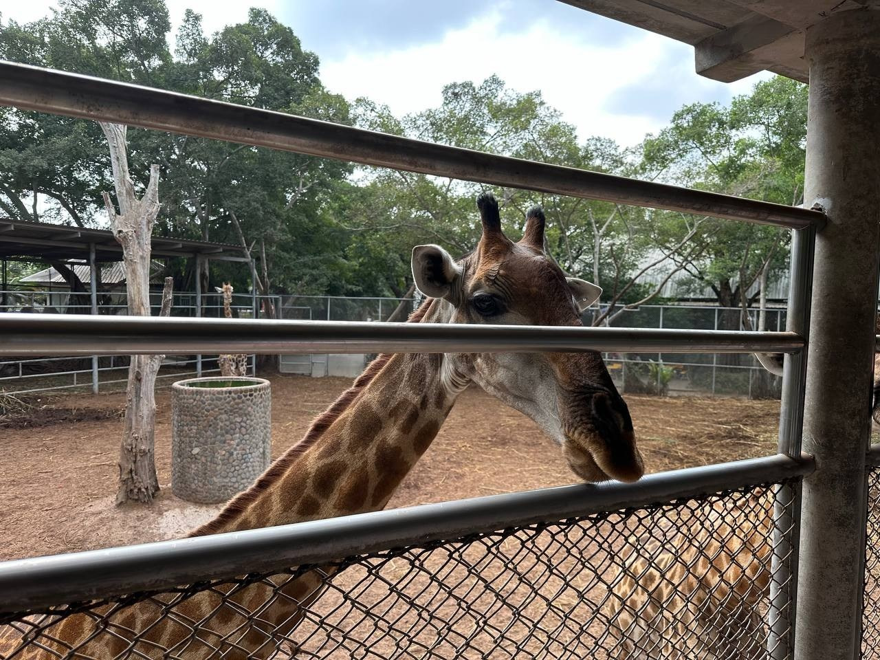 Таиланд | январь–февраль 2024. Галерея Фантим