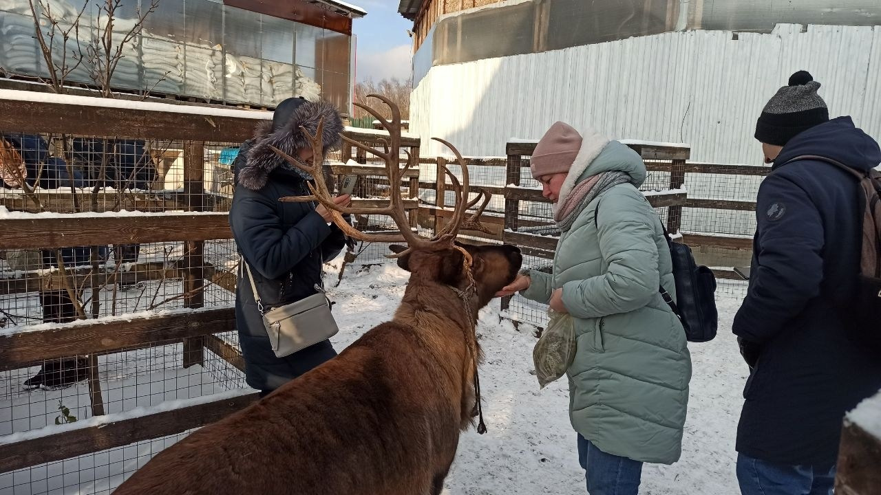В гости к северным оленям | 02.12.2023. Галерея Фантим
