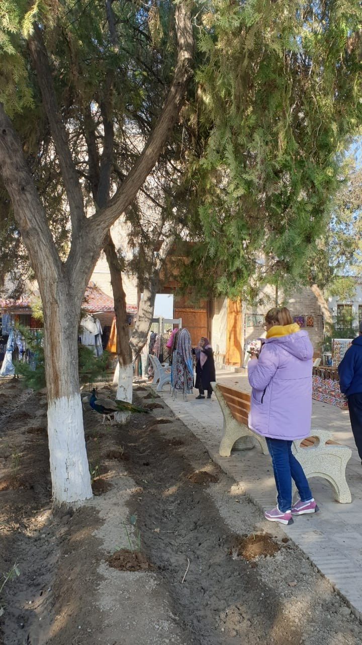 Сказочный Узбекистан | 14 — 17.11.2024. Галерея Фантим