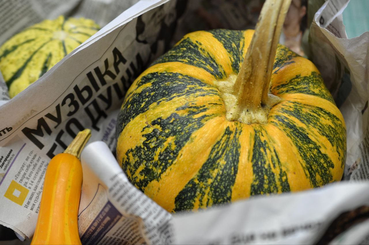 Запись в художественную школу. Изостудия «Мы рисуем!» ♥ Южное Бутово, Москва