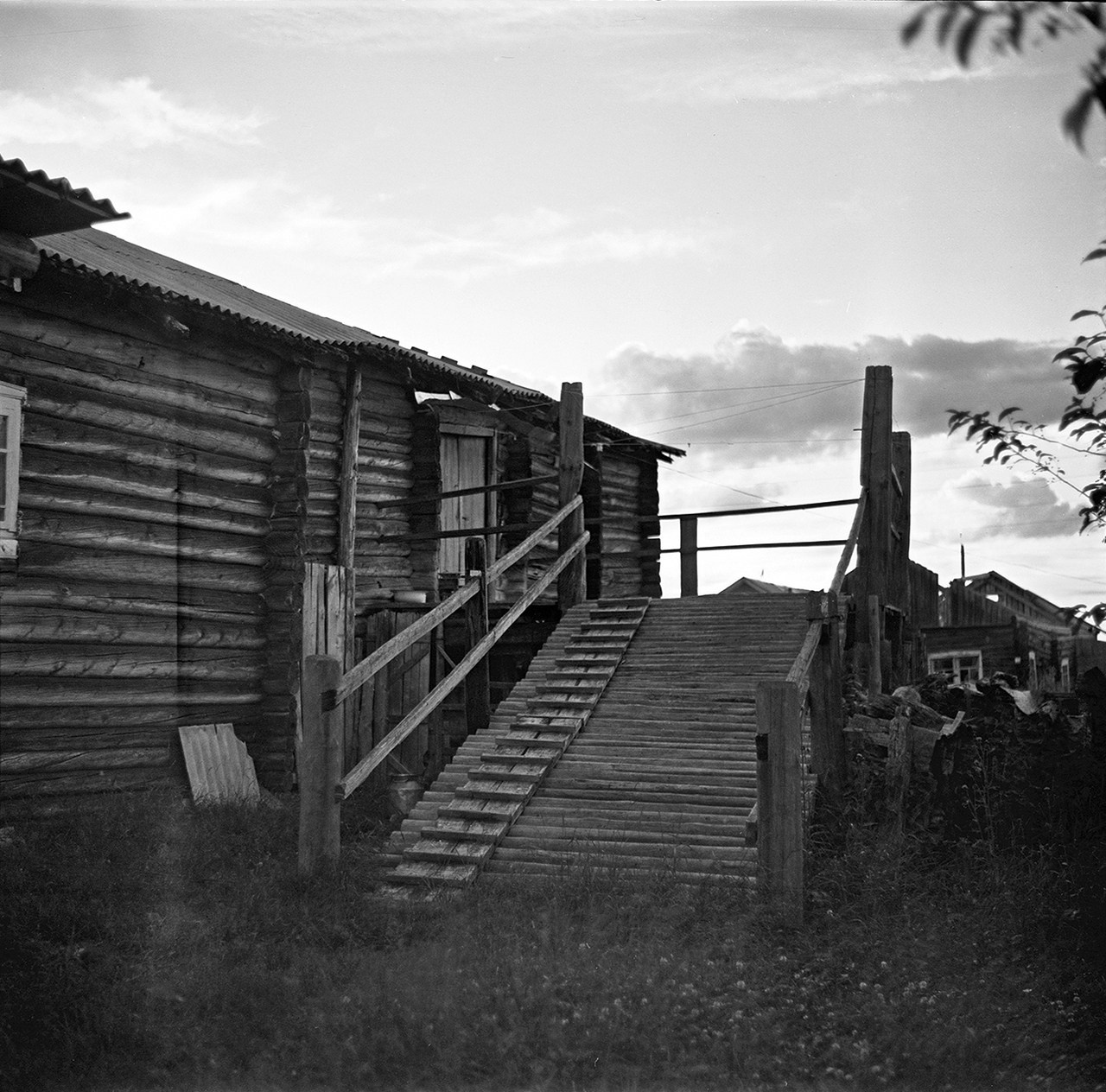 Было лето. Часть 1. ФОТОГРАФ ЛИЛИЯ БИЧУРИНА