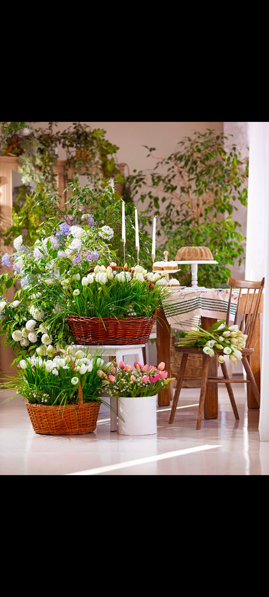 Все фотостудии в Твери. Свадебный и семейный фотограф в Твери и Тверской области