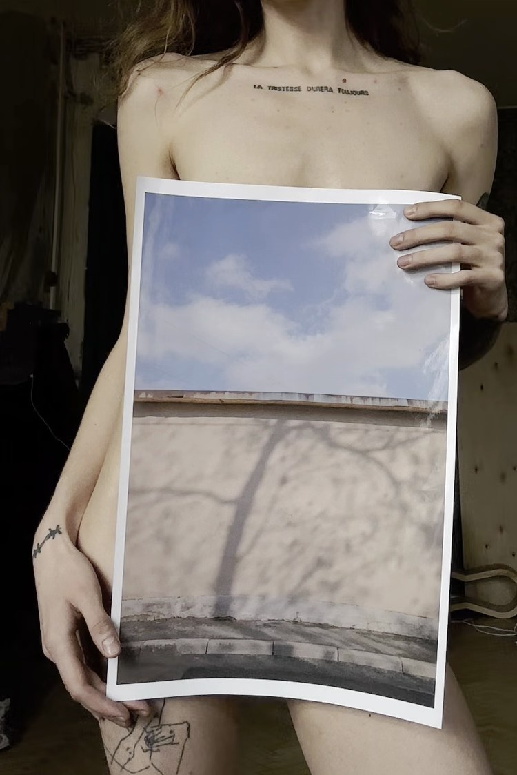 PRINTS. Shyjungle's Portfolio