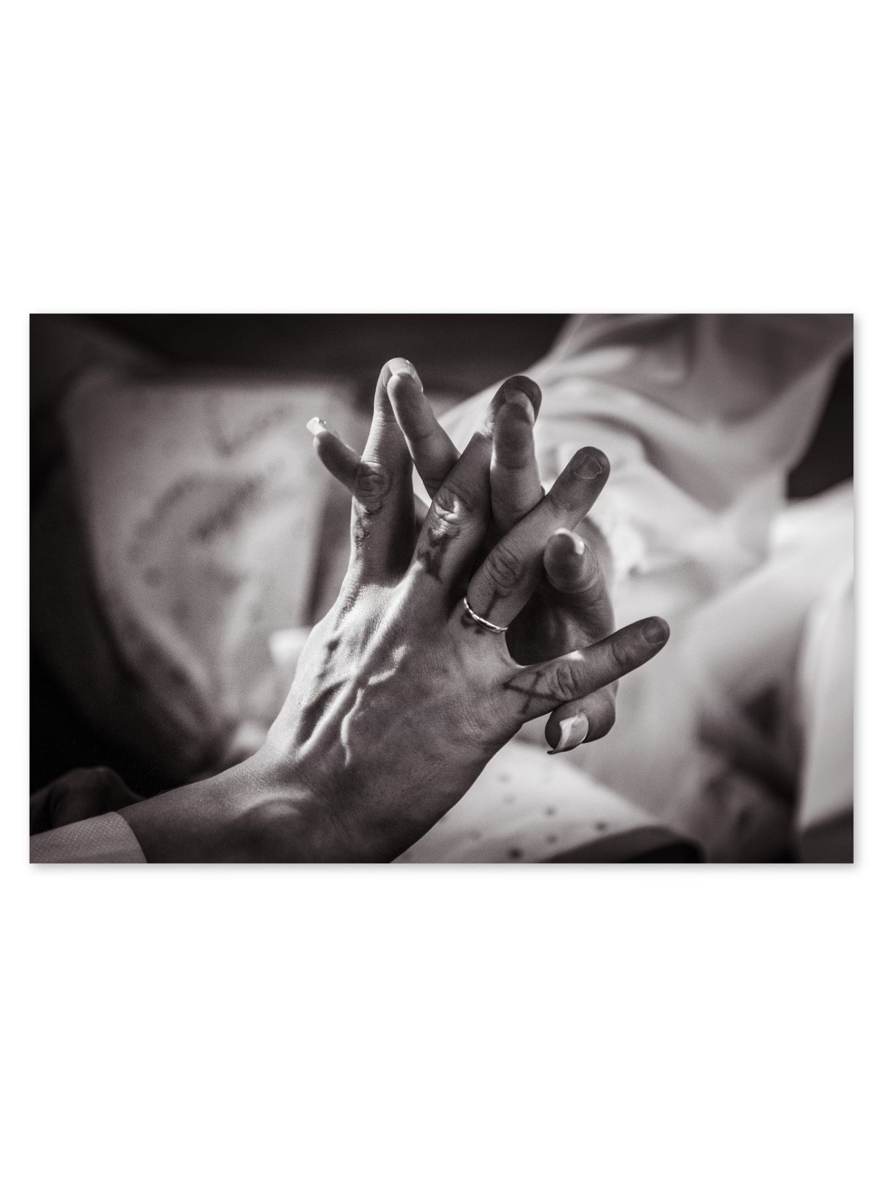 Николай и Евгения. Александра, репортажный и событийный фотограф