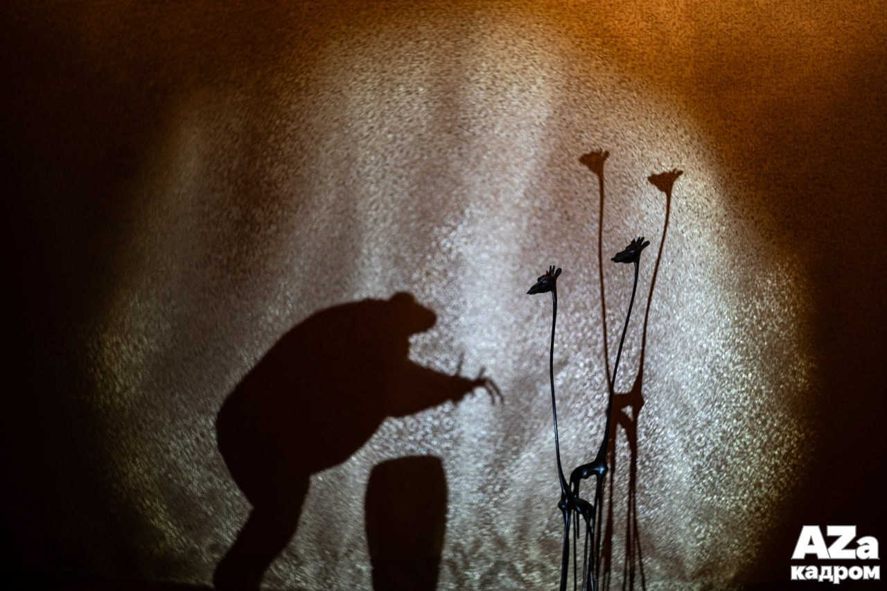 AZакадром «Фотофанты». Женский семейный фотограф Тула Москва Захарова Анна