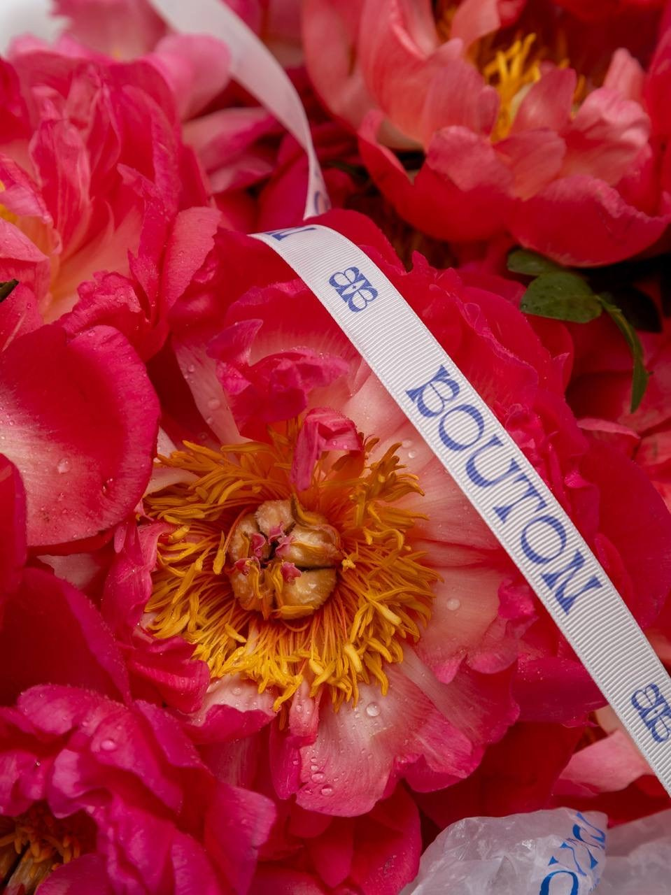 Цветы. Фотограф Алексей Зозин в Москве