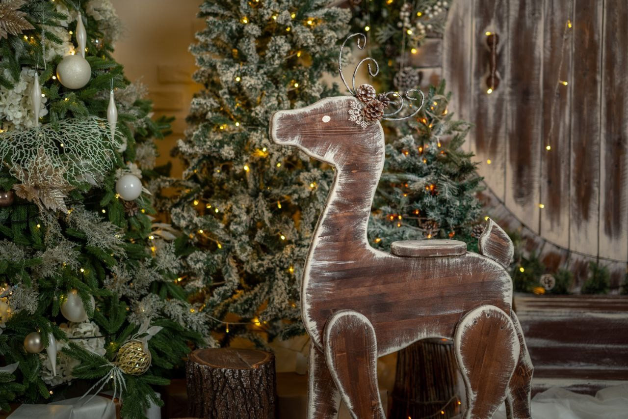 К2. Фотограф г. Хабаровск. Семейные и индивидуальные съёмки