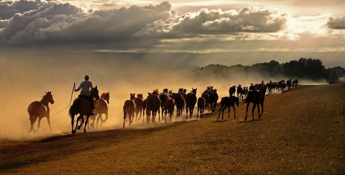 Культура и традиции казахского народа. Экскурсии и туры по Алматы