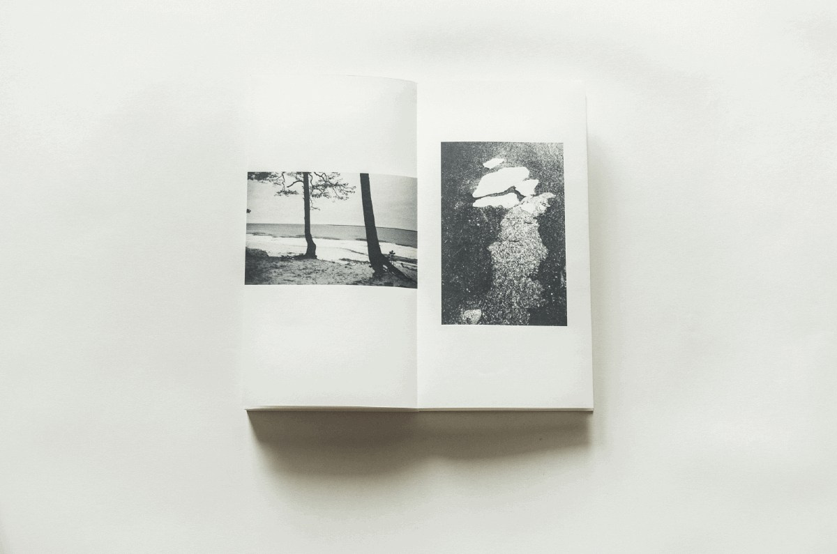 Summer Shore. Vitaly Severov