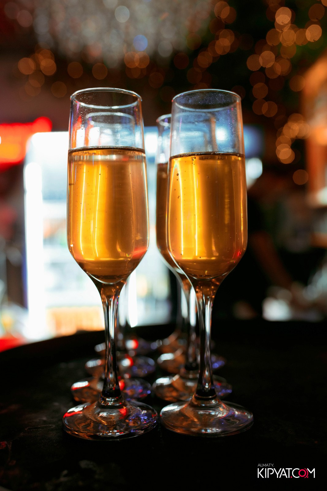 УХО И МЕДВЕДЬ НА САИНА. КИПЯТКОМ АЛМАТЫ!