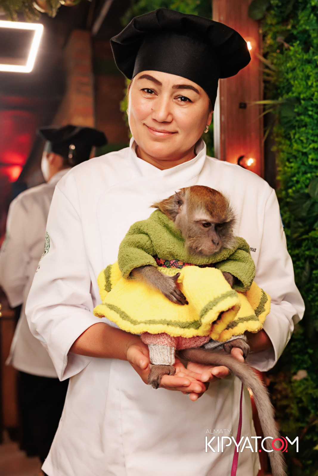 MYATA LOUNGE НА МЕНДИКУЛОВА 6 ЛЕТ. КИПЯТКОМ АЛМАТЫ!