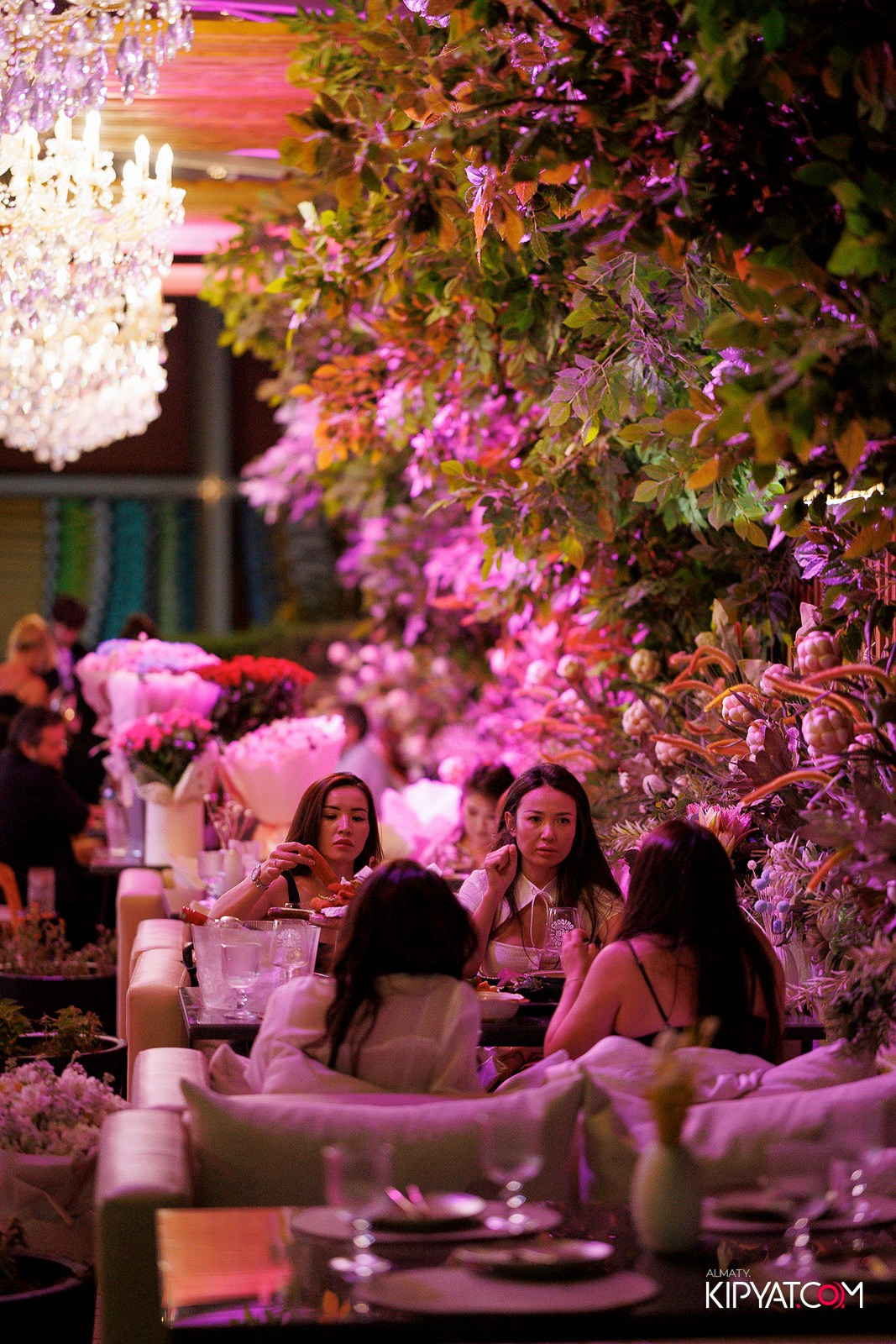 FRIENDS BAR & TERRACE. КИПЯТКОМ АЛМАТЫ! Фотосъемка мероприятий в Алматы