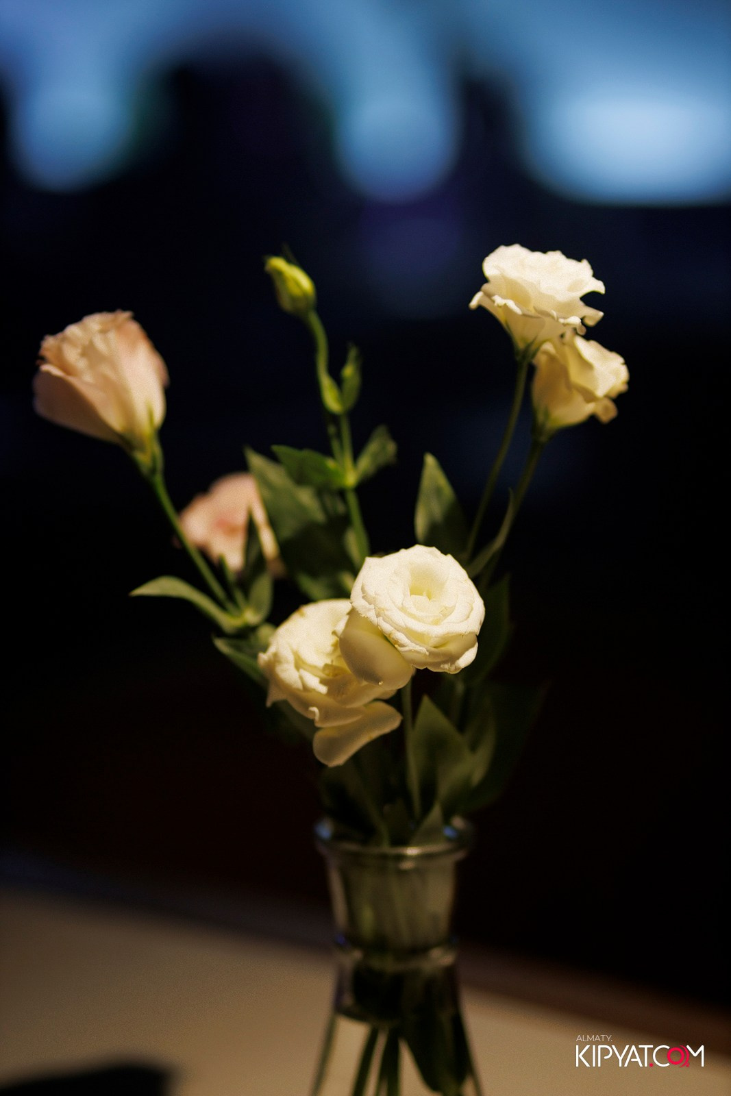 OLOVO BAR НА САТПАЕВА. КИПЯТКОМ АЛМАТЫ! Фотосъемка мероприятий в Алматы