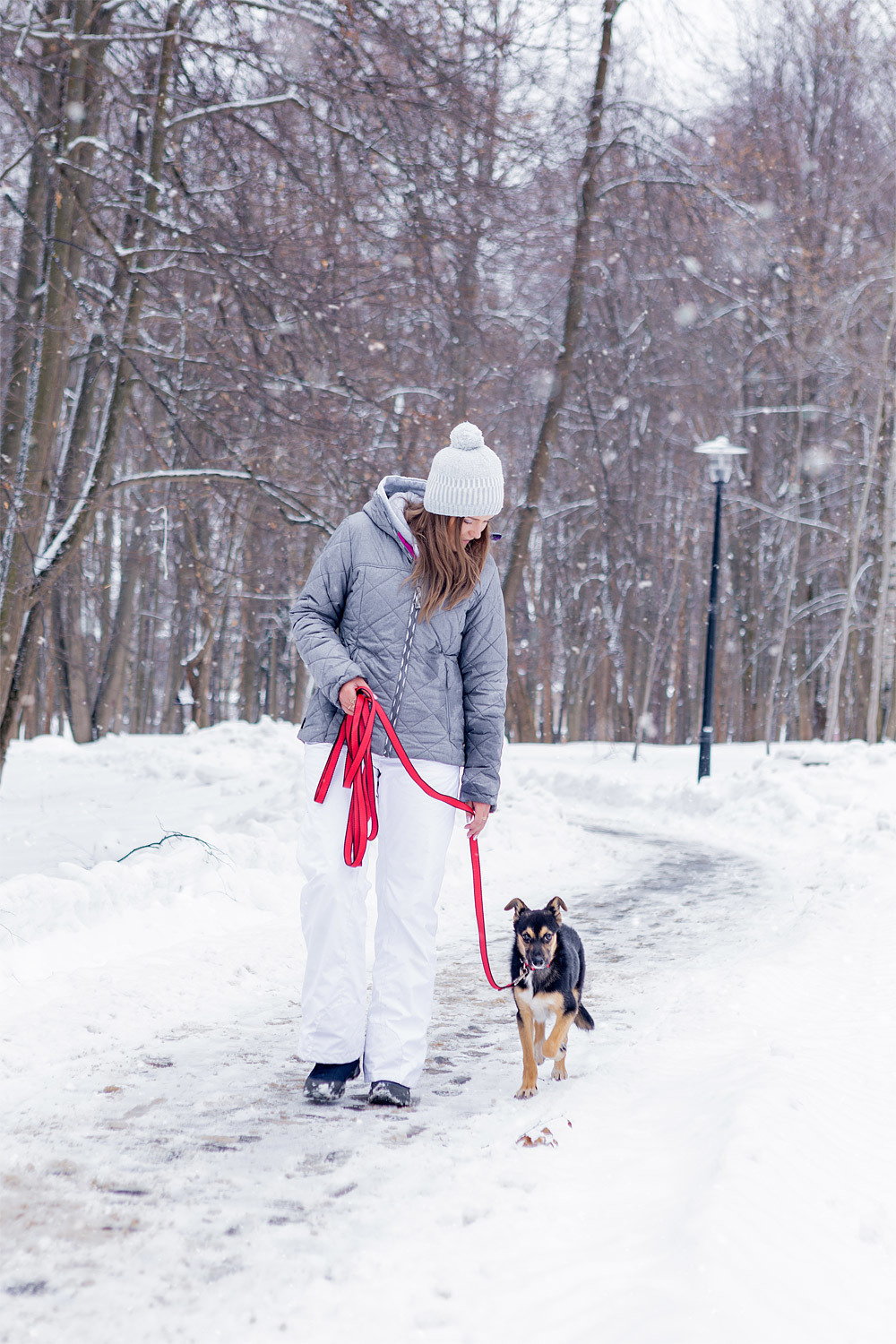 Dog’s story Dakota and Sasha. Kasia Teesh. Фотограф и Видеограф. Сергиев Посад
