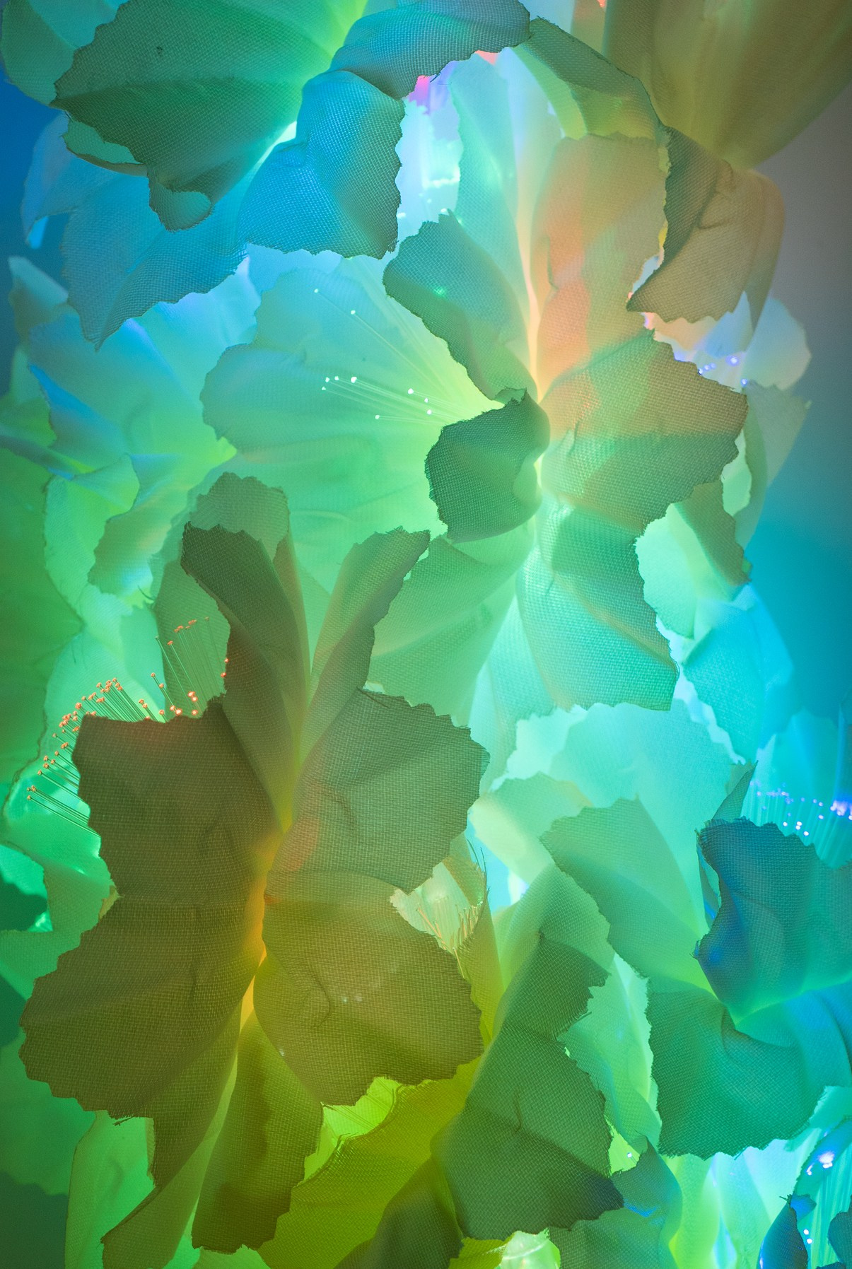 Цветы с подсветкой крупно цветты голубо зеленые