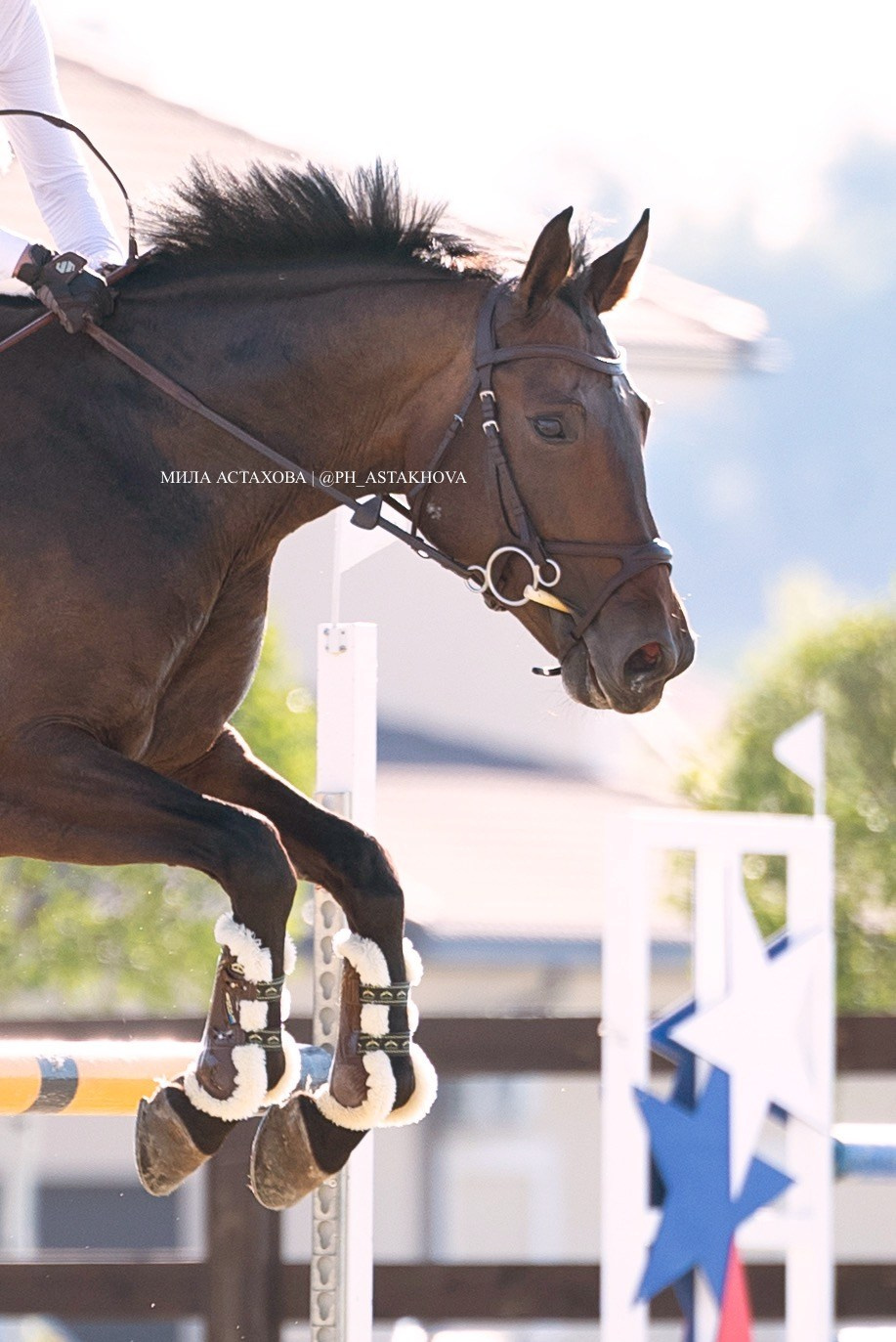 ОКСАНА РЫК. Мила Астахова