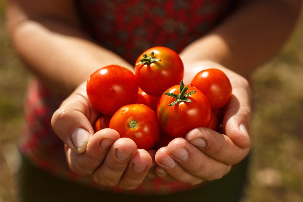 Актанышский район. Промышленный фотограф | Бизнес-фотосессии | Казань и РФ