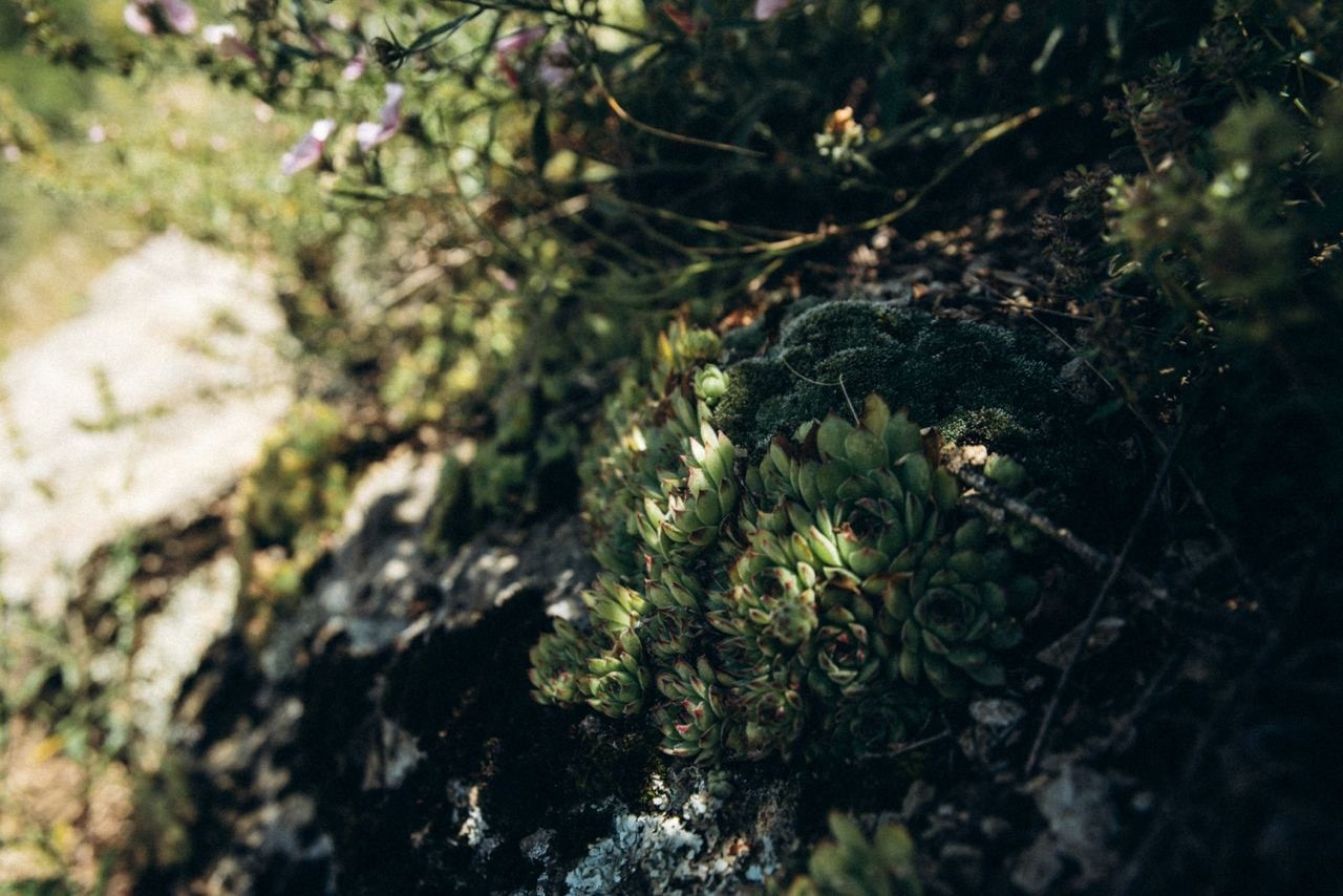 Биртвиси, Грузия 🇬🇪 «Honey Trip». Anita_photo