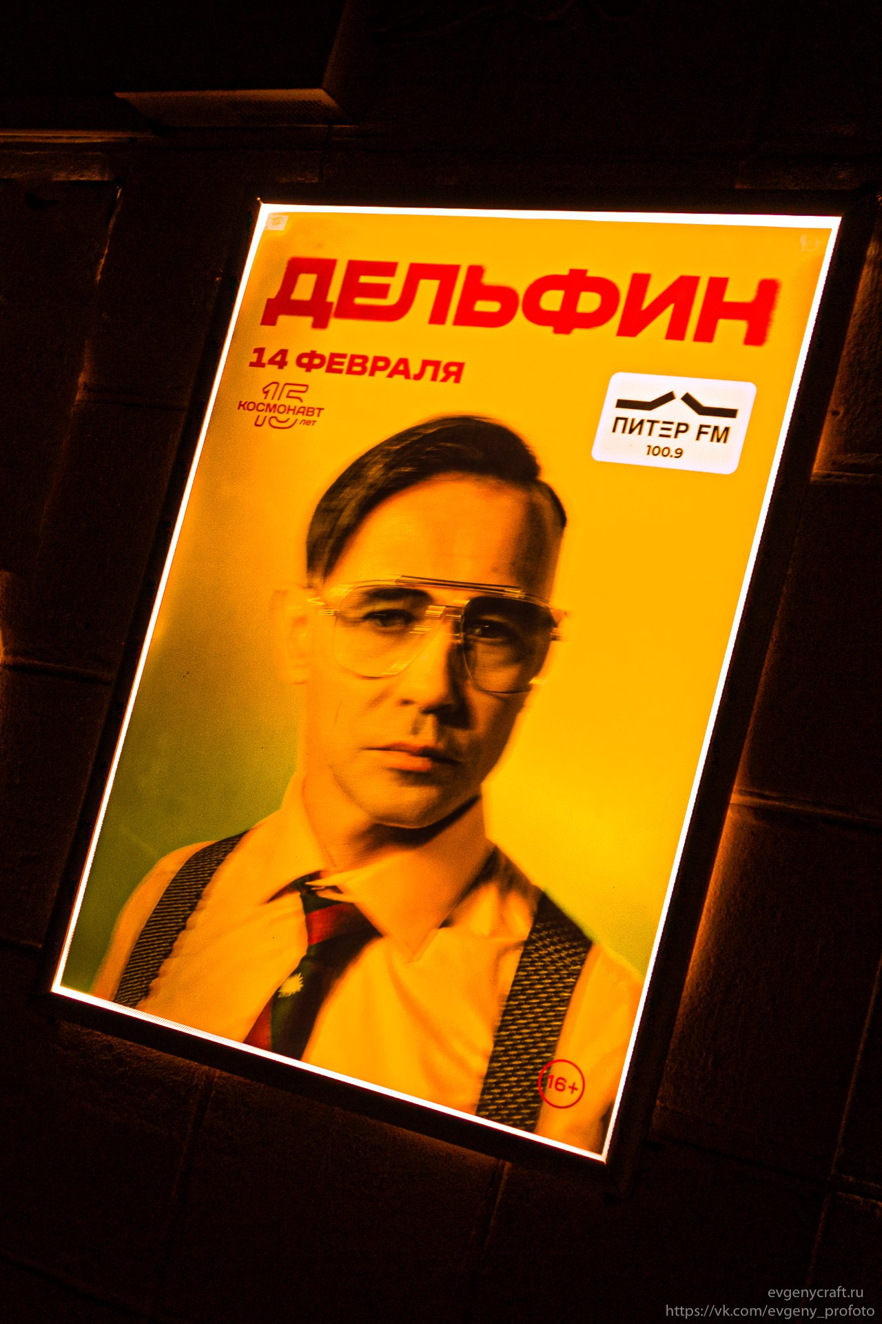 Dolphin 14 feb 2026. EvgenyCraft