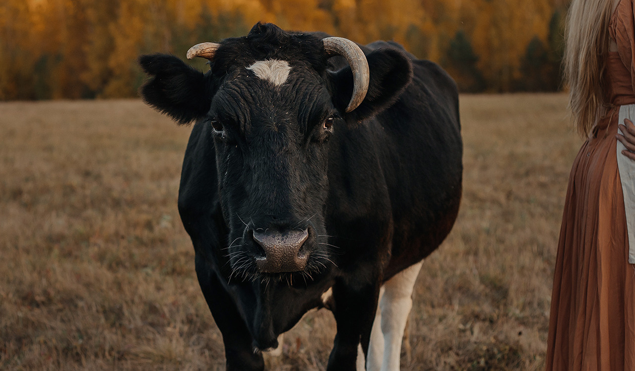 «Пастухи». Фотограф женского портрета Екатерина Сигат