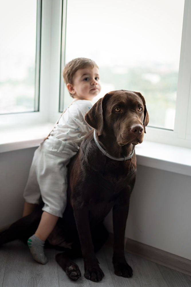 Домашние съемки (Лайфстаил). Семейный, детский фотограф в Москве Дегтярева Анастасия
