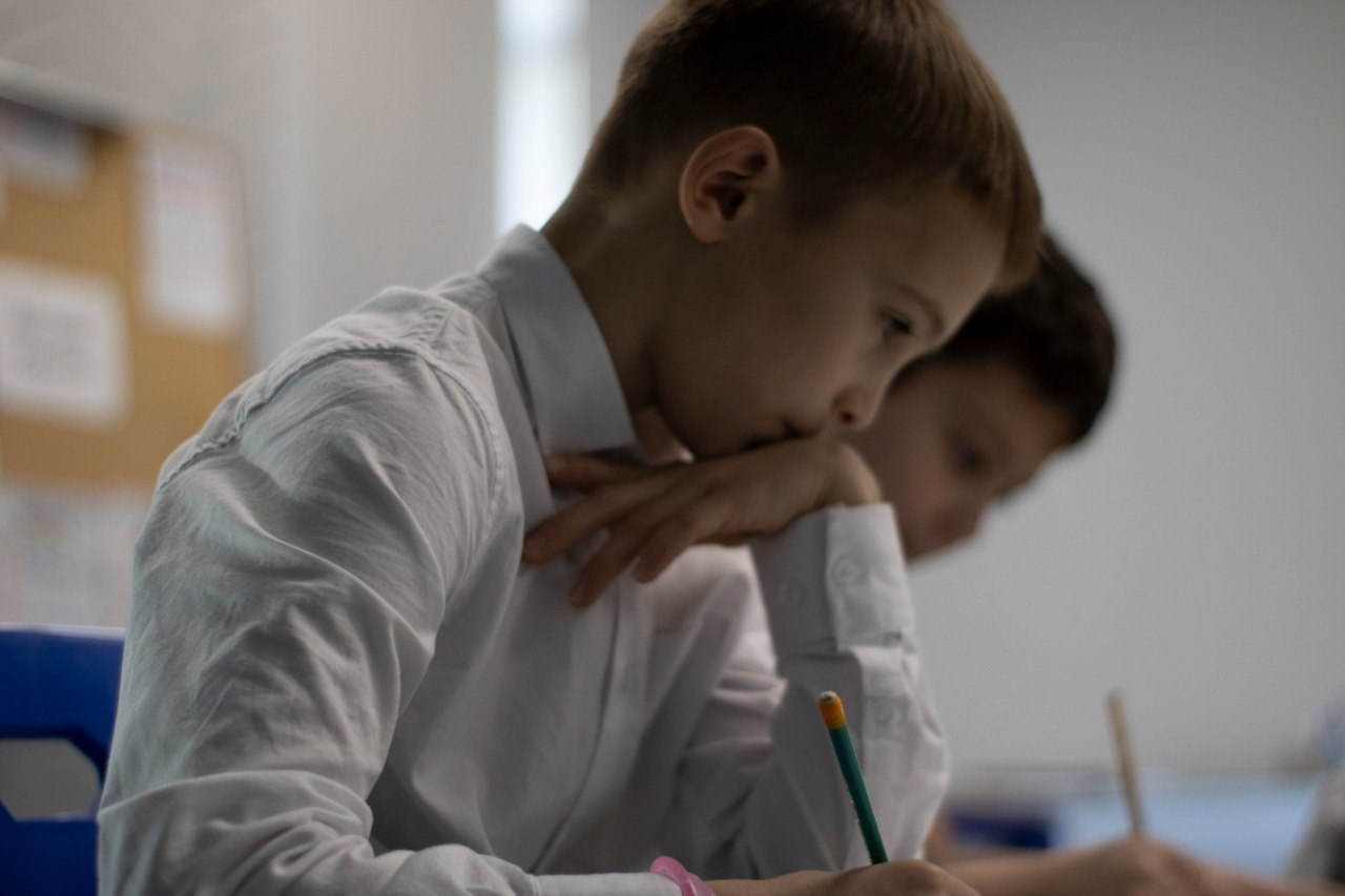 Сияние Арктики. ALASRAIN