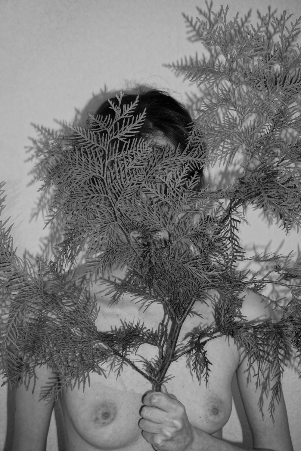 There is a branch in my shoulder. Maria Barakova