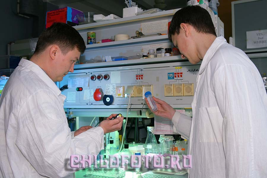 Институт Белка г. Пущино. Skazka.wfolio.pro