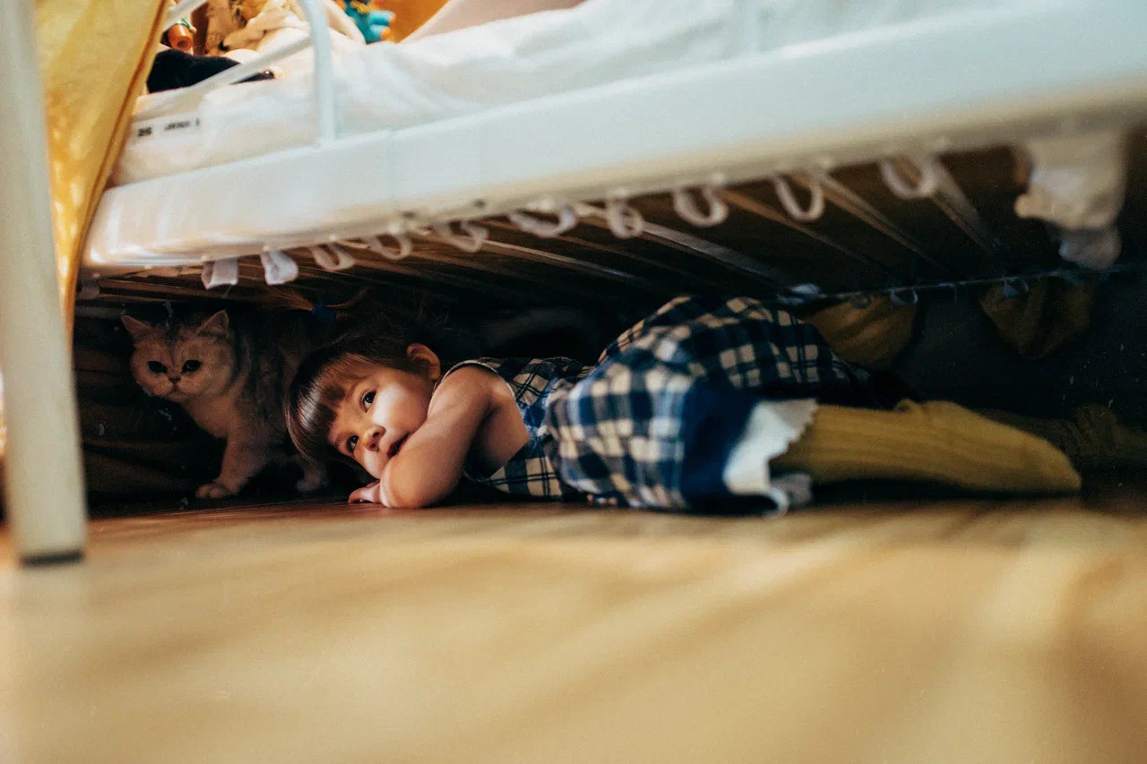 6 КОТОВ. Миша Снимет | твой фотограф